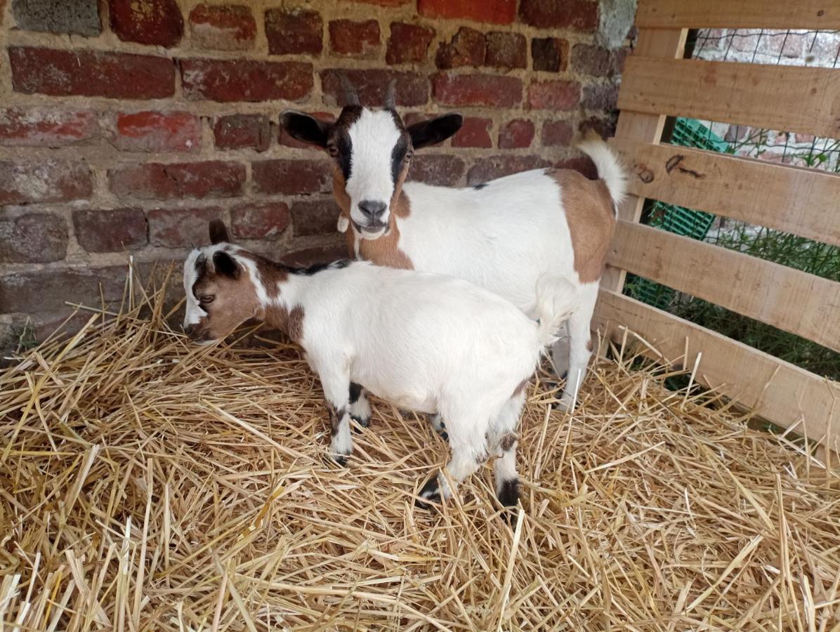 Gite A La Ferme Chez Magali Escaudoeuvres 외부 사진